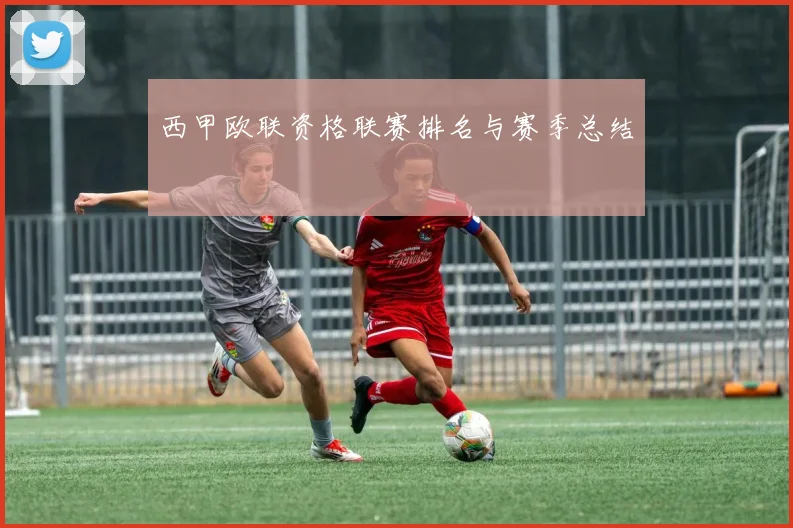 西甲欧联资格联赛排名与赛季总结