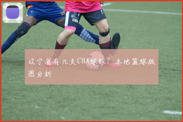 辽宁省有几支CBA球队？本地篮球版图分析